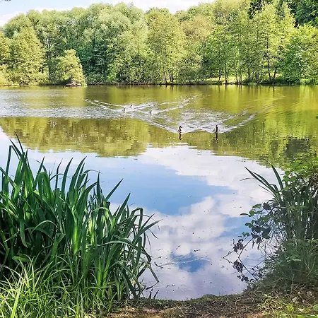 Am Sternberg 115 By Interhome Σπίτι διακοπών Frankenau